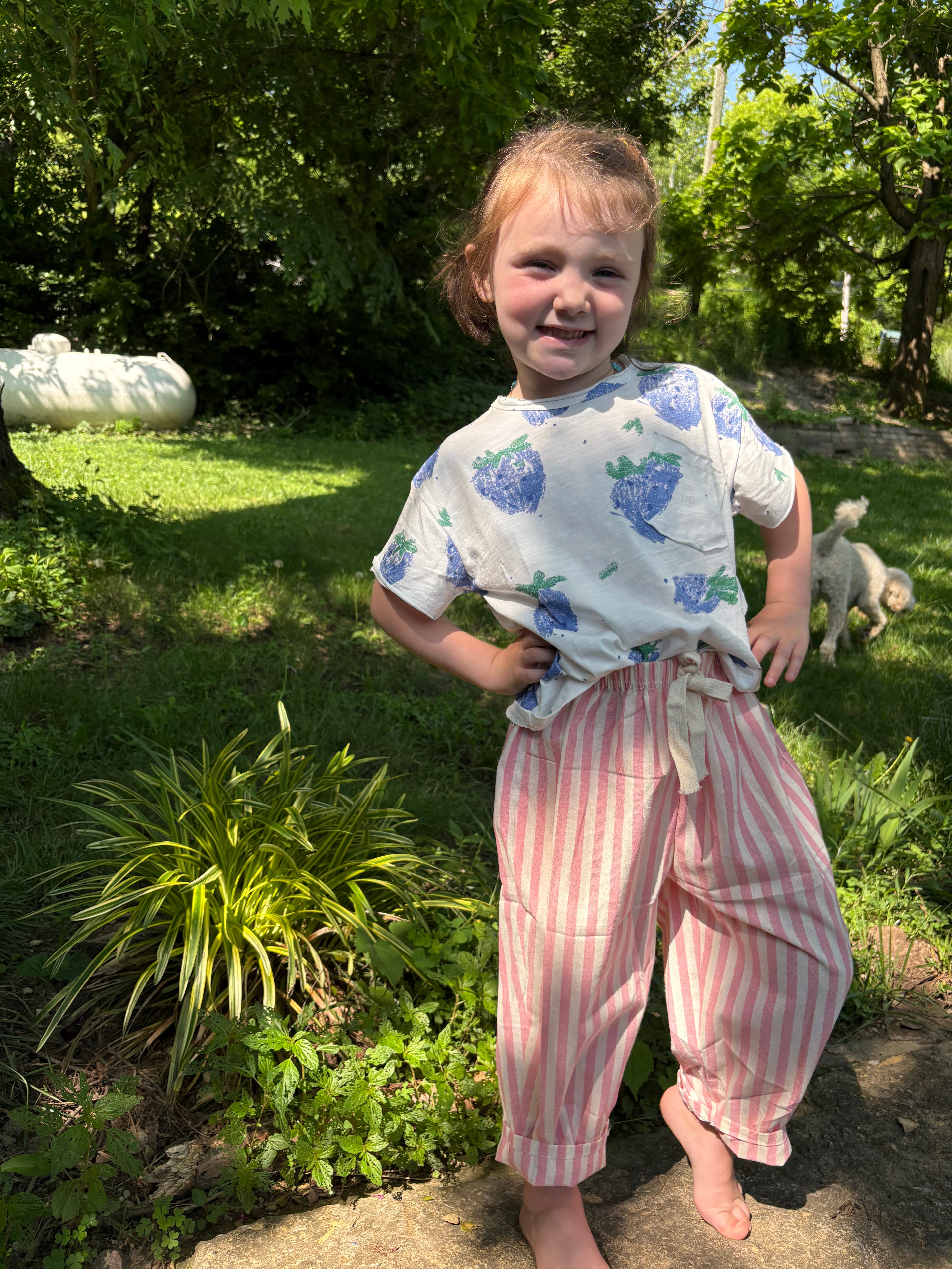 Pink Cotton Stripe Pant